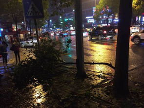 冰雹 狂风 暴雨 昨夜贵阳太恐怖 然而