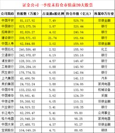 股巢网指明的持仓市值是什么意思？