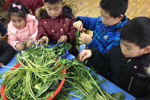 你可能忽视了娃做家务的好处,0 3岁孩子做家务一览表,建议家长收藏