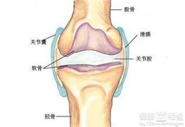 儿童性跨关节滑膜炎怎么治疗啊