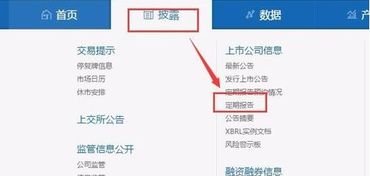 如何查找公司的年报