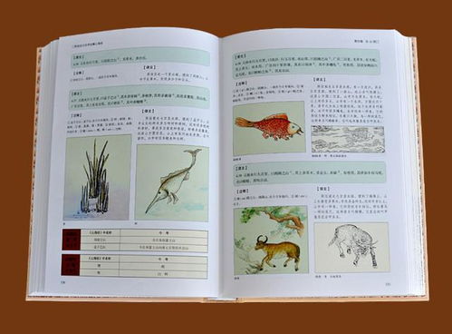 建议男人,别一辈子打工 多看这6本好书,提高情商少被欺