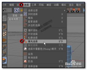 c4d填充选择是什么意思(c4d选择工具没有循环选择)