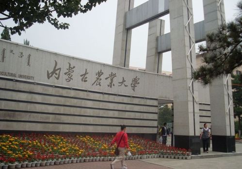 为什么内蒙古的大学,很不受同学们待见 就连211院校也不例外