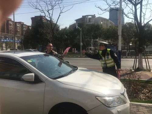 交警停车场怎么收费(交警队停车场可以免费停多久)