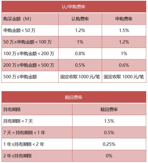 基金收益可以每天看到吗