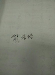 熊培培这名字怎么写的好看 