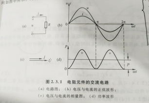 为什么相量不等于正弦量