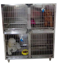 不锈钢展示笼,宠物寄养笼,宠物输液台 宠物笼 打针笼高清图片 高清大图 