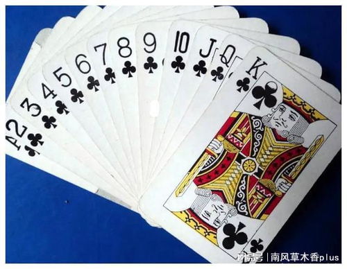 扑克牌常识(扑克牌知识)