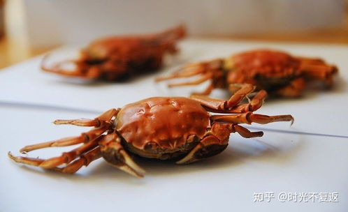 吃螃蟹不可不知的8大禁忌 