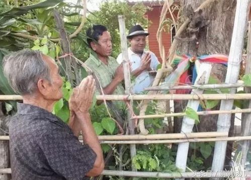 大爷家树上长出 怪和尚 ,得知真相后引来上万人跪拜 