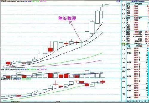 股票技术指标分析有用吗