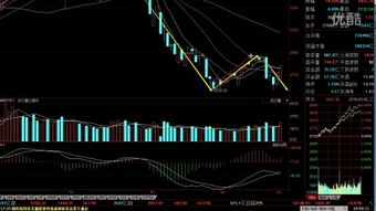 请问哪个炒股软件里面可以看：线能量能PVEL指标？