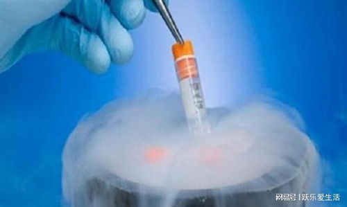 试管婴儿冻胚移植成功率高不高？