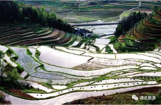 城会玩 简直是一幅幅乡村油画,去湖北这些地方看最美梯田