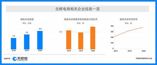 附录与查重的关系：如何合理利用附录提高查重效率