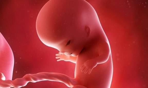 原创孕中期，孕妈这个“生理需求”尽量满足，助于胎宝大脑发育