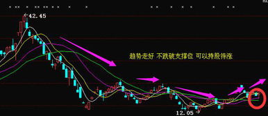 一些股票一段时间每天开盘就涨停是什么原因