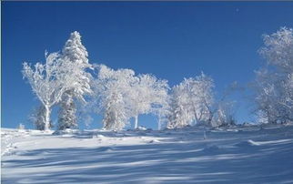 2018年哈尔滨国庆下雪吗 哈尔滨什么时候开始下雪 ，关于2018年国庆天气提醒的信息