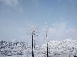 你见过最美的雪景是在哪里 