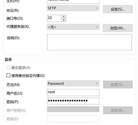 在阿里云买了一个备案的域名,我买的虚拟主机在西部。怎么弄 (西部虚拟主机登录)