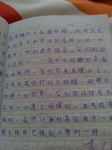 小学生50字日记怎么写