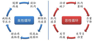 跑者膝四周详尽康复计划