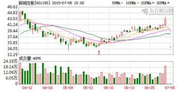 股票新城控股代码是601155刚上市多少一股