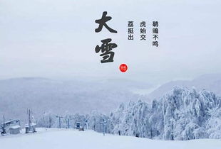 2019年大雪八字缺木的女孩子100分名字精选