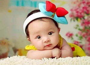 泰维峰 高级育婴师 高级母婴护理 培训班火热报名中