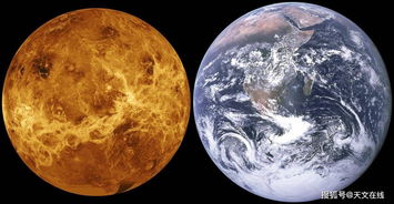 金星和天顶有相位不老