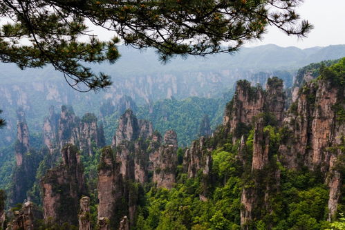 张家界旅游怎么玩,玩那些景点 张家界最佳旅游路线推荐