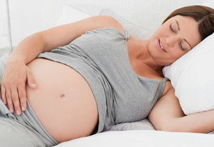 孕妇做梦梦见男性的生殖(怀孕做梦梦到男性生殖系统)