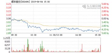 辉丰股份为什么2021年6月跌幅那么大