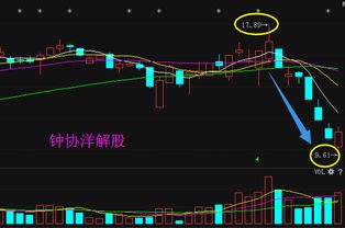 600222太龙今天走势如何？