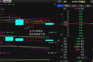 中海集运的股价大概会涨到多少?