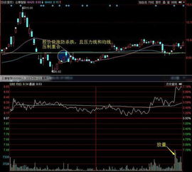 在震荡行情中怎样才能合理操作短线股？