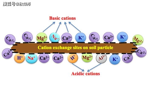 植物必需土壤元素的种类17种离子在线监测传感