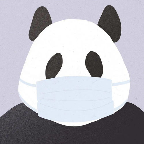 3分钟get国宝冷知识,揭秘 你不知道的大熊猫
