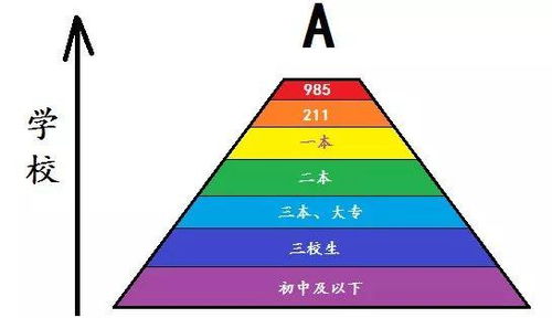 高校鄙视链 再见了985 211 上海四所高校入围这个名单