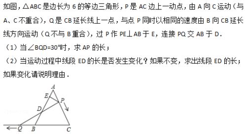 备战期中 初一初二初三中考真题同步练习