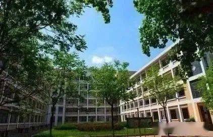 山东专科学校排名公办(山东公办专科学校排名)