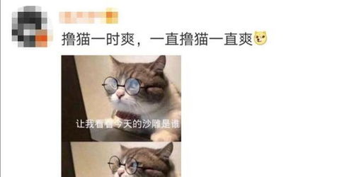 学霸猫的礼物 七个冥想练习(音频课程)