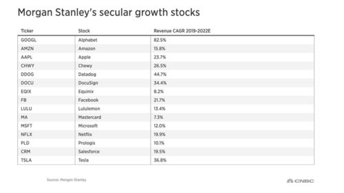 大摩公布2021年 长期增长股票 名单 谷歌苹果特斯拉上榜