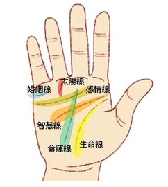 手相从感情线看你的忠贞程度