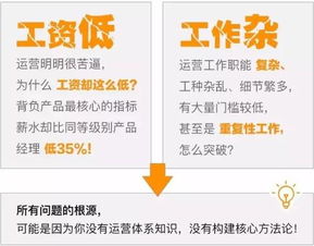 问1下如果有项目没资金应当怎样办？