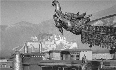 藏族文化或藏传佛教的龙形象 