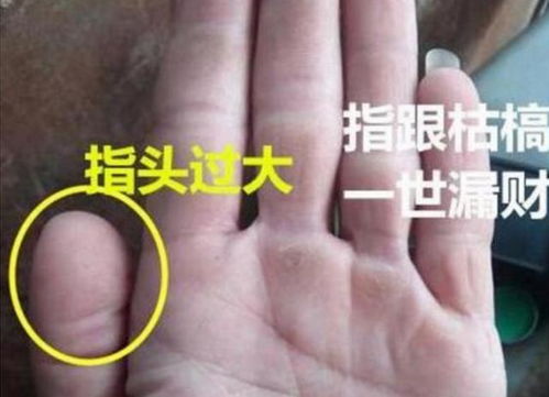 玄真探运 男人 这里 越肥大,越无福可享,主动一辈子打工的下等人