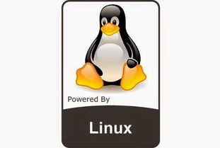谷歌知名研究员开源loadlibrary：将Windows DLL加载到Linux